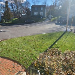 This picture is from 11/24/23. This is how healthy my lawn is even w freezing Temps and the first snow fall.