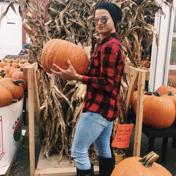 Cherry Hill Orchards Outlet - The Great Pumpkin - Fruits & Veggies Near Me - Lancaster, Pennsylvania