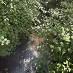 South County Trailway