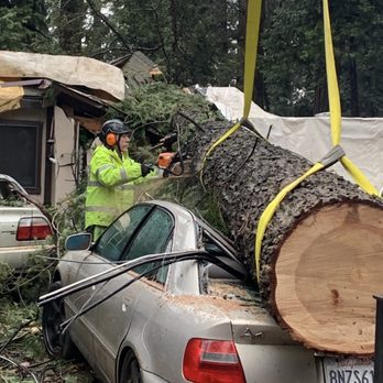 Carsten Tree Service - Tree Services Near Me - Camino, California Carsten Tree Service - Tree Services Near Me - Camino, California