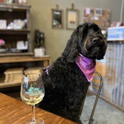 Noisy Water Winery - Delicious wine!!