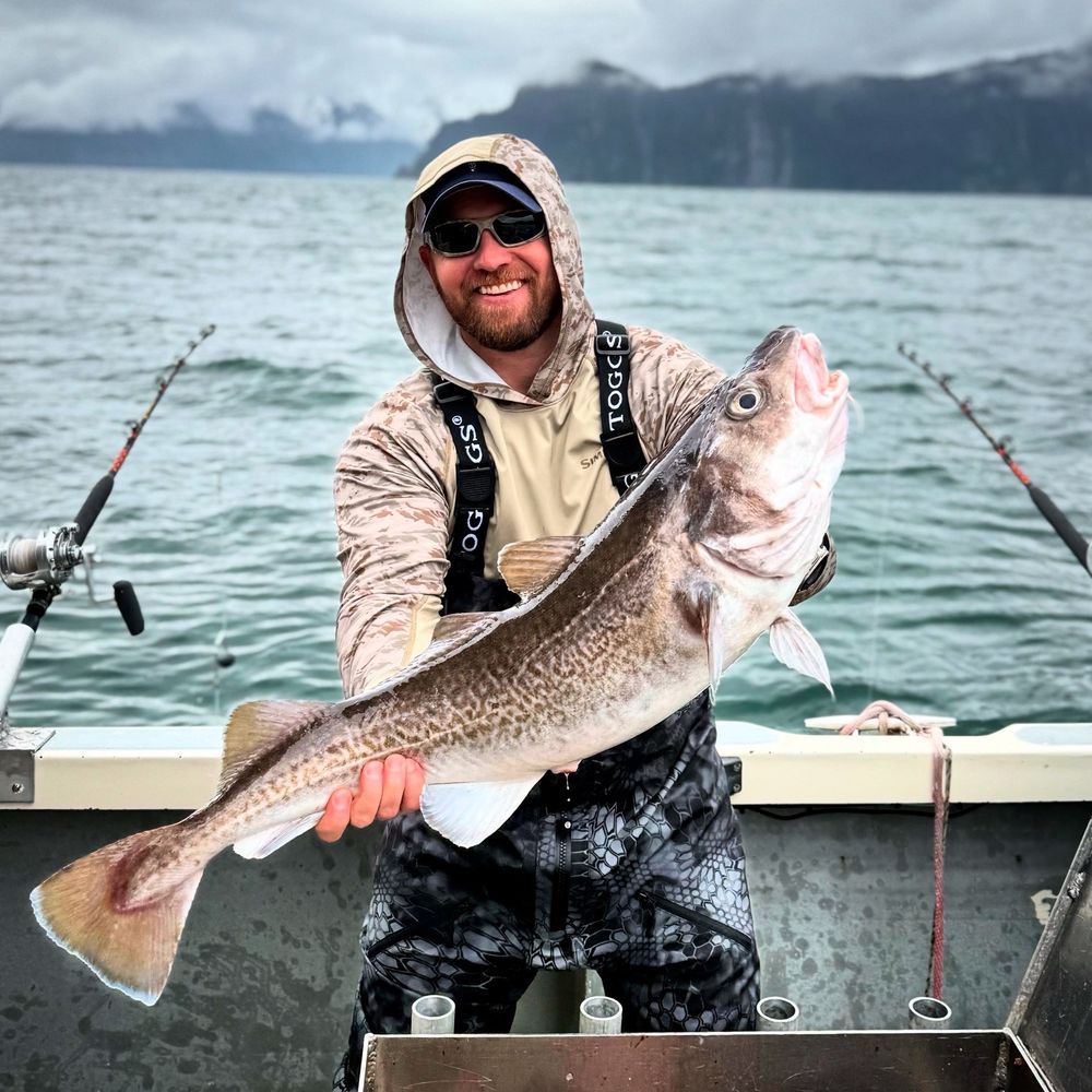 Inn and Out Charters - Alaskan Grey Cod - Boating Near Me - Seward, Alaska Inn and Out Charters - Alaskan Grey Cod - Boating Near Me - Seward, Alaska