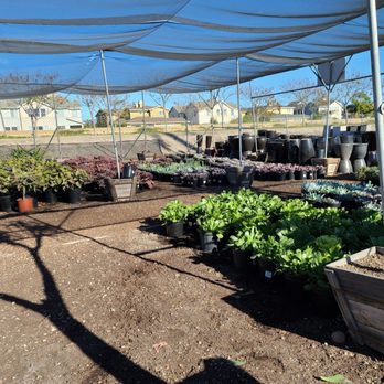 OC Succulents - Variety of drough tolerate succulents! - Nurseries & Gardening Near Me - Irvine, California
