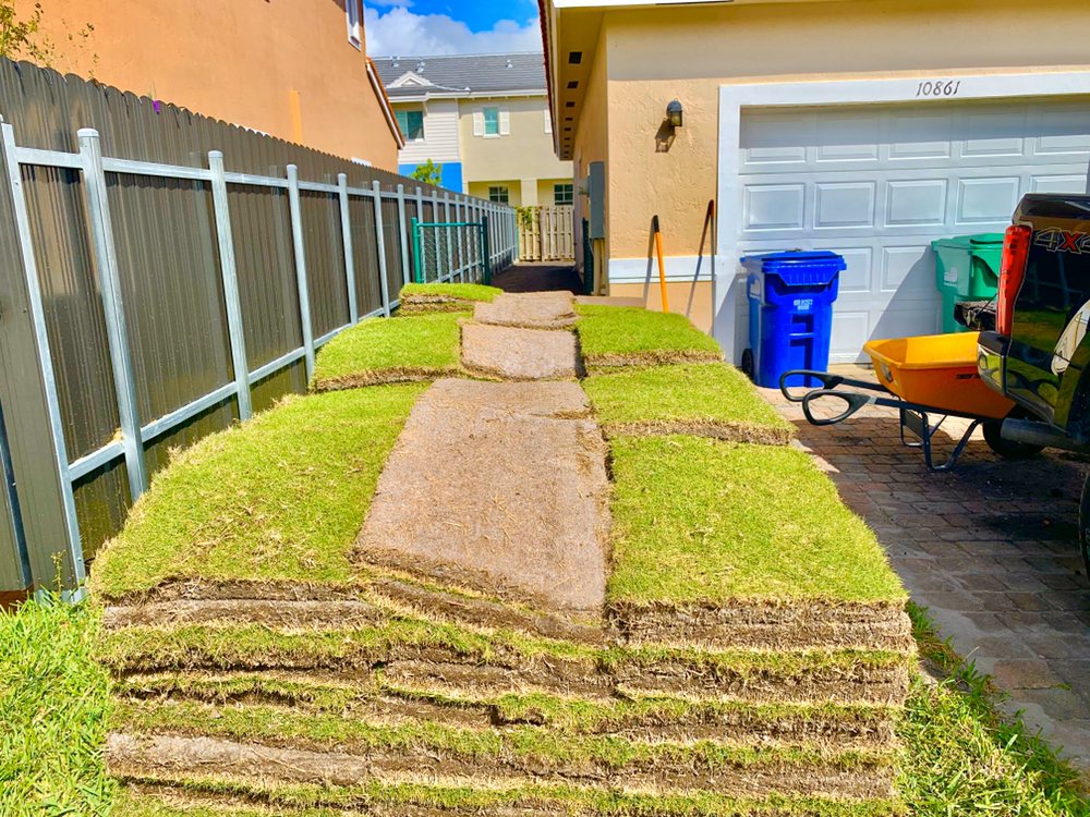 Green Thumbs Lawn Services - tree service in Miami, FL