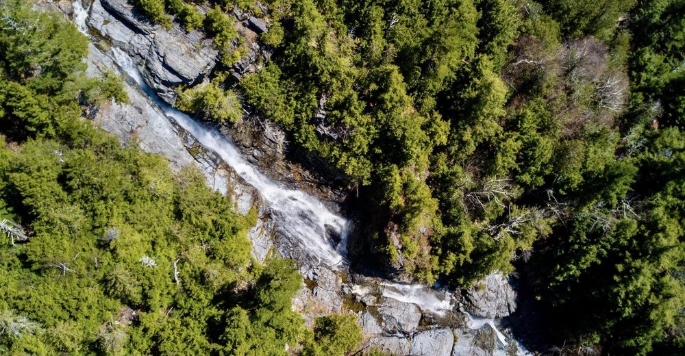 Roaring Brook Falls Logo