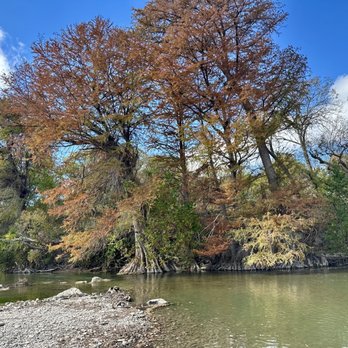 Guadalupe River State Park - Pretty fall colors 11/2025 - Parks Near Me - Spring Branch, Texas Guadalupe River State Park - Pretty fall colors 11/2025 - Parks Near Me - Spring Branch, Texas
