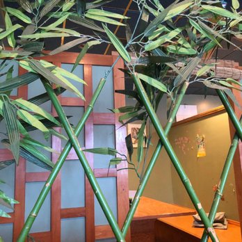 Yusan Sushi & Ramen - bamboo plants in a restaurant - Sushi Bars Near Me - Stroudsburg, Pennsylvania Yusan Sushi & Ramen - bamboo plants in a restaurant - Sushi Bars Near Me - Stroudsburg, Pennsylvania