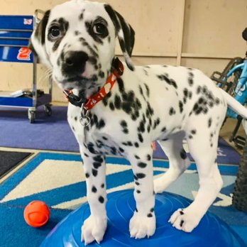 Orange Canyon Pet Clinic - Veterinarians Near Me - Orange, California