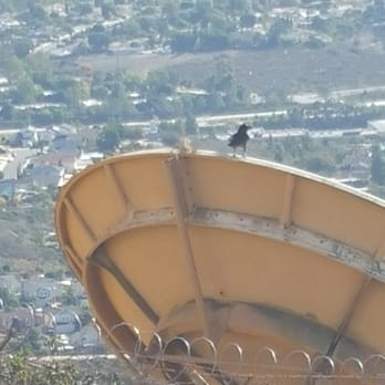Black Mountain Open Space Park - An enthusiastic crow... - Parks Near Me - San Diego, California Black Mountain Open Space Park - An enthusiastic crow... - Parks Near Me - San Diego, California