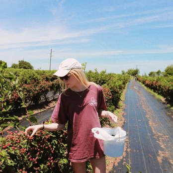 Ham Orchards - Farmers Market Near Me - Terrell, Texas