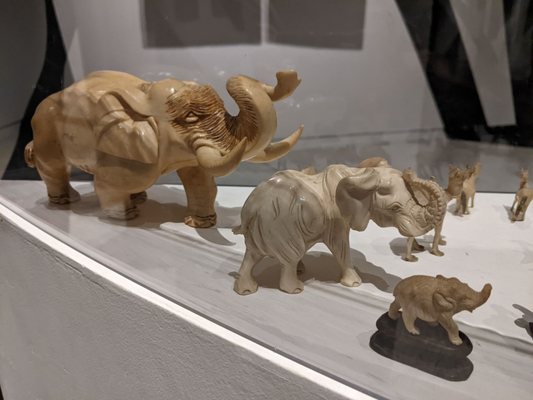 Museu Oscar Niemeyer by null