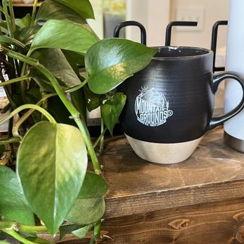 Mountain Grounds Coffee & Tea - Cute plants all around and cups with their logo - Coffee & Tea Near Me - Banner Elk, North Carolina Mountain Grounds Coffee & Tea - Cute plants all around and cups with their logo - Coffee & Tea Near Me - Banner Elk, North Carolina