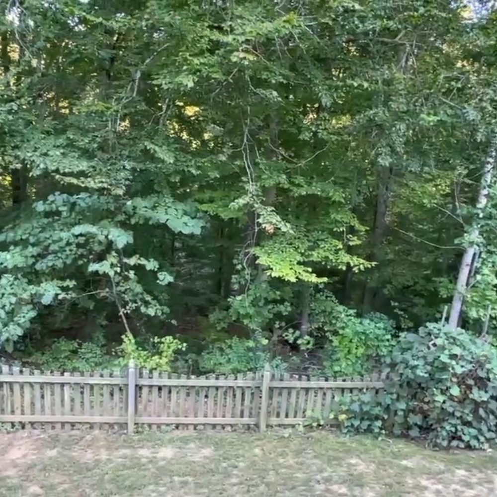 Virginia Forestry Mulching & Excavating - Excavation Services Near Me Virginia Forestry Mulching & Excavating - Excavation Services Near Me