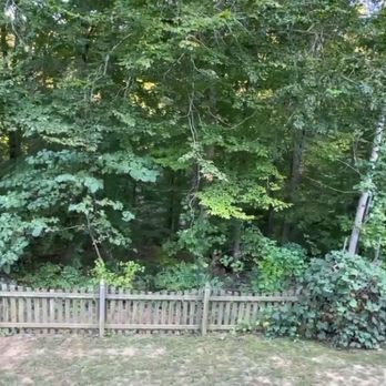 Virginia Forestry Mulching & Excavating - Excavation Services Near Me Virginia Forestry Mulching & Excavating - Excavation Services Near Me