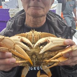 Amethyst Fishing Charters