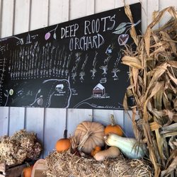 The Folk Collaborative - Map of orchard