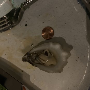 The Hampton Social - Naples - Prince Edward Island oysters - New American Near Me - Naples, Florida