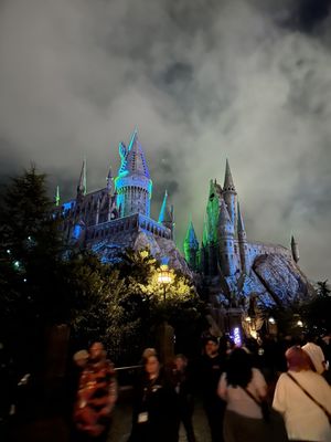 The Wizarding World of Harry Potter by null