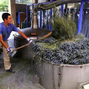 Distillerie Bleu Provence - Health & Medical Near Me - Nyons, 26 Distillerie Bleu Provence - Health & Medical Near Me - Nyons, 26