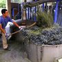 Photo of Distillerie Bleu Provence