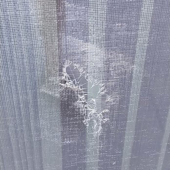 Sevenly Outdoor Living - Damage to screen. The image shows there are scuff marks around the hole made by an object with straight edges. Clearly not hail. - Decks & Railing Near Me - Aurora, Colorado Sevenly Outdoor Living - Damage to screen. The image shows there are scuff marks around the hole made by an object with straight edges. Clearly not hail. - Decks & Railing Near Me - Aurora, Colorado
