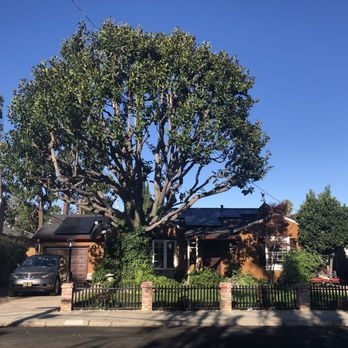 One Two Tree Care - Tree Services Near Me - Tracy, California
