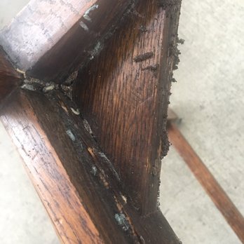 Seacliff Self Storage - Chair frame with moth larva - Self Storage Near Me - Huntington Beach, California Seacliff Self Storage - Chair frame with moth larva - Self Storage Near Me - Huntington Beach, California