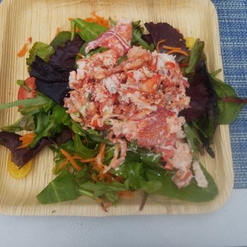 Waves at Bahia Mar - Lobster roll on salad - Bars Near Me - Fort Lauderdale, Florida Waves at Bahia Mar - Lobster roll on salad - Bars Near Me - Fort Lauderdale, Florida
