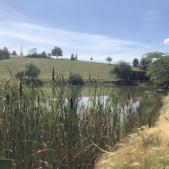 Villa Catalana Cellars - Pond - Wineries Near Me - Oregon City, Oregon Villa Catalana Cellars - Pond - Wineries Near Me - Oregon City, Oregon
