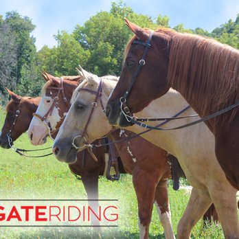 Red Gate Riding - Horseback Riding Near Me - Rochester, Minnesota
