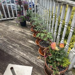 Martin’s Garden Center