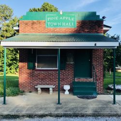 Pineapple - Pine Apple Town Hall. Downtown Pine Apple, Alabama.