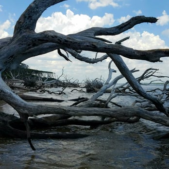 Big Talbot Island State Park - Parks Near Me - Jacksonville, Florida Big Talbot Island State Park - Parks Near Me - Jacksonville, Florida