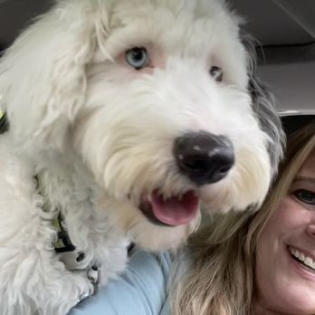 Pals for Pups - Puppy - Pet Sitting Near Me - Roselle, Illinois