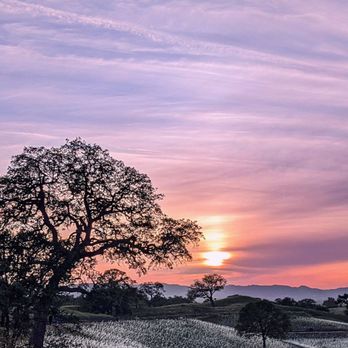 Sensorio - Sunset - Art Galleries Near Me - Paso Robles, California Sensorio - Sunset - Art Galleries Near Me - Paso Robles, California