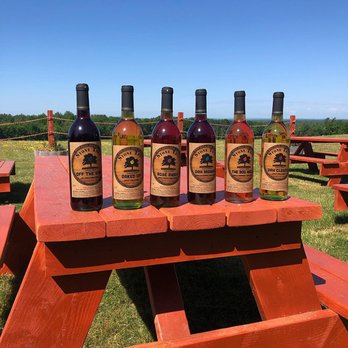 Stone Tree Farm & Cidery - six bottles of cid on a picnic table - Wineries Near Me - Unity, Maine Stone Tree Farm & Cidery - six bottles of cid on a picnic table - Wineries Near Me - Unity, Maine