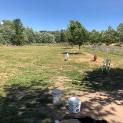 Ron Raetz Dog Park - Ron Raetz dog park