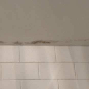 Hotel deLuxe - Bathroom mold - Hotels Near Me - Portland, Oregon