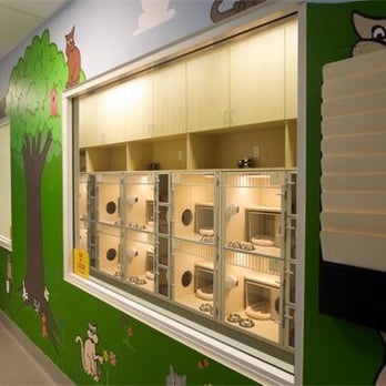 Advanced Veterinary Medical Imaging - Feline Radiotherapy Ward - Veterinarians Near Me - Tustin, California