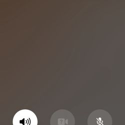 Laura Williams Wayne, MD - I've been on hold for over 2 hours. I called before they closed. Worst desk staff ever