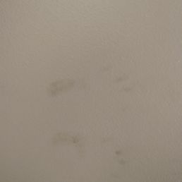 Hand prints on the walls.