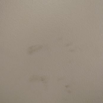 Motel 6 - Hand prints on the walls. - Hotels Near Me - Colchester, Vermont