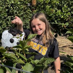 U-Pick Blueberries - Blackberry picking. Delicious!
