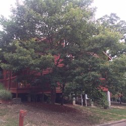 Cabins At Grand Mountain Phase 2