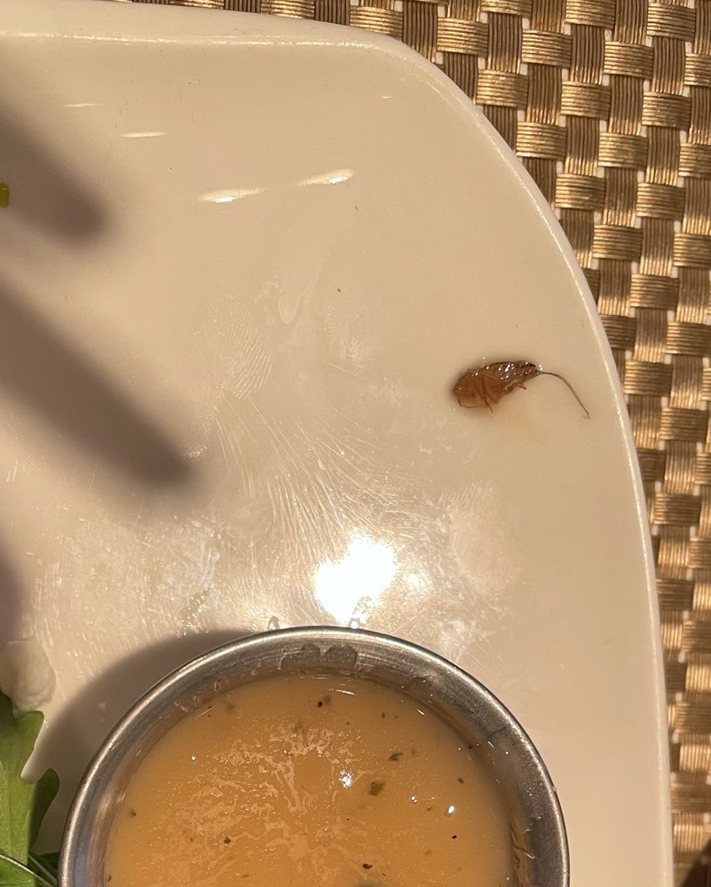Social spots from Farmer's Table