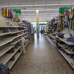 Dollar Tree - Dollar Tree, Hickory