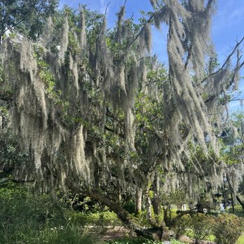 Harry P Leu Gardens - Venues & Event Spaces Near Me - Orlando, Florida