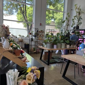 Bloomsgiving - Florists Near Me - Mountain View, California