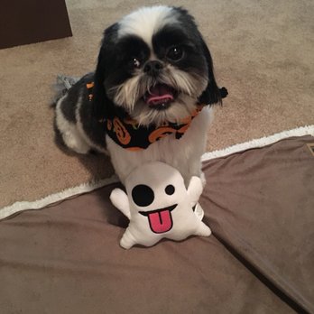 Pro-Groom - Pet Groomers Near Me - Roseville, California Pro-Groom - Pet Groomers Near Me - Roseville, California