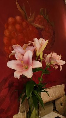 Miód Malina by null